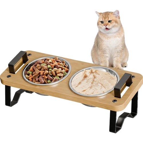 Hund futterstation katzen - hund,